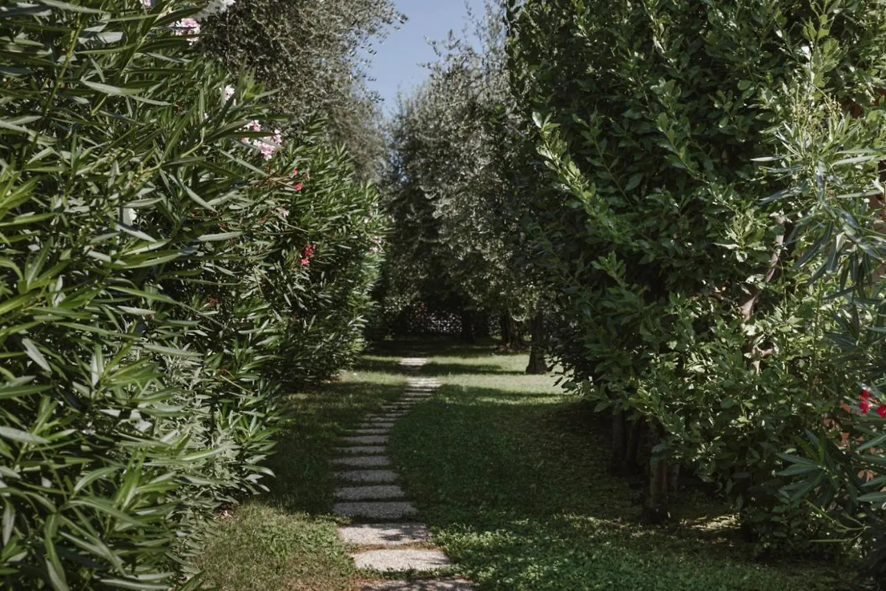 App. Mimosa Minerva Holiday Home Manerba del Garda